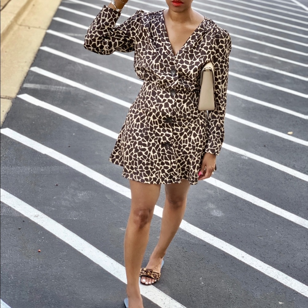Zara Leopard Mini Dress
